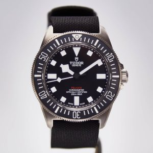 Tudor Pelagos FXD (25717N)